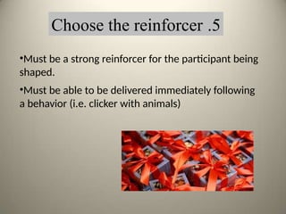 5
.
Choose the reinforcer
•Must be a strong reinforcer for the participant being
shaped.
•Must be able to be delivered immediately following
a behavior (i.e. clicker with animals)
 