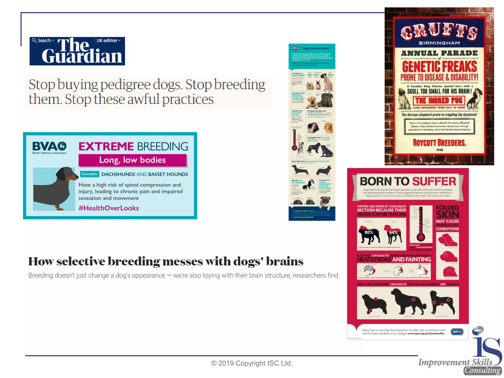 © 2019 Copyright ISC Ltd.
 