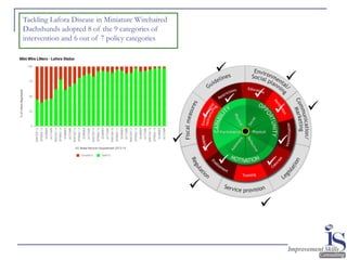 Tackling Lafora Disease in Miniature Wirehaired
Dachshunds adopted 8 of the 9 categories of
intervention and 6 out of 7 policy categories
✓
✓
✓
✓✓
✓
✓
✓
✓
✓
✓
✓
✓
✓
 