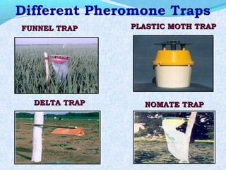 Different Pheromone Traps
FUNNEL TRAPFUNNEL TRAP PLASTIC MOTH TRAPPLASTIC MOTH TRAP
DELTA TRAPDELTA TRAP NOMATE TRAPNOMATE TRAP
 