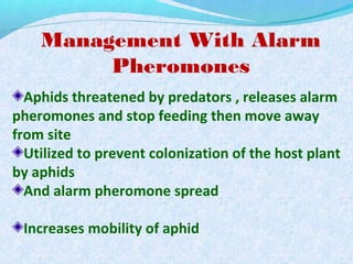 Management With Alarm
Pheromones
Aphids threatened by predators , releases alarm
pheromones and stop feeding then move away
from site
Utilized to prevent colonization of the host plant
by aphids
And alarm pheromone spread
Increases mobility of aphid
 