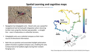 Featureless Map Behavioural ecologyhhvhvhvhvhvhvhvhvh.pdf