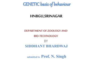 GENETIC basis of behaviour
HNBGU,SRINAGAR
DEPARTMENT OFZOOLOGY AND
BIO-TECHNOLOGY
BY
SIDDHANT BHARDWAJ
submitted to Prof. N. Singh
 