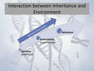 IB Diploma BLOA - Behavioural Genetics | PPTX