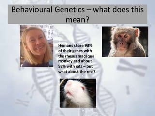 Behavioural Genetics – what does this
mean?
Humans share 93%
of their genes with
the rhesus macaque
monkey and about
99% with rats – but
what about the rest?

 