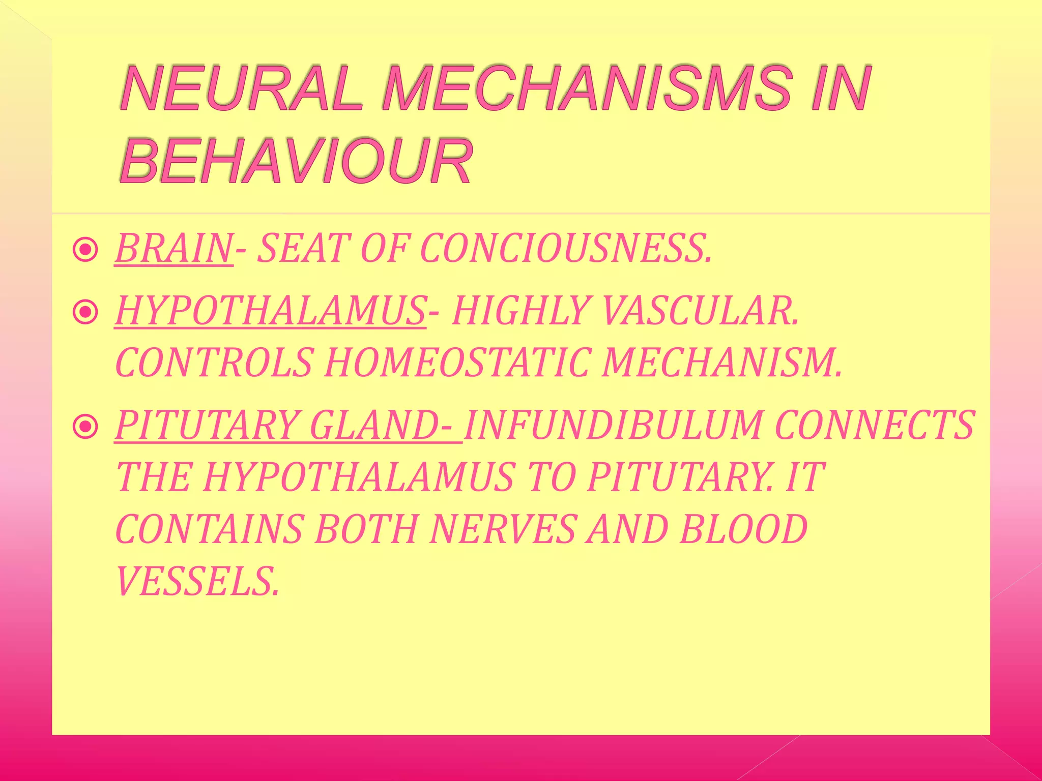  BRAIN- SEAT OF CONCIOUSNESS.
HYPOTHALAMUS- HIGHLY VASCULAR.
CONTROLS HOMEOSTATIC MECHANISM.
PITUTARY GLAND- INFUNDIBULUM CONNECTS
THE HYPOTHALAMUS TO PITUTARY. IT
CONTAINS BOTH NERVES AND BLOOD
VESSELS.