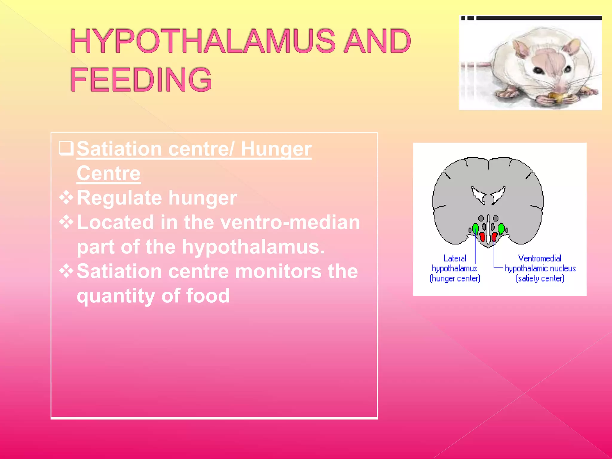 Satiation centre/ Hunger
Centre
Regulate hunger
Located in the ventro-median
part of the hypothalamus.
Satiation centre monitors the
quantity of food