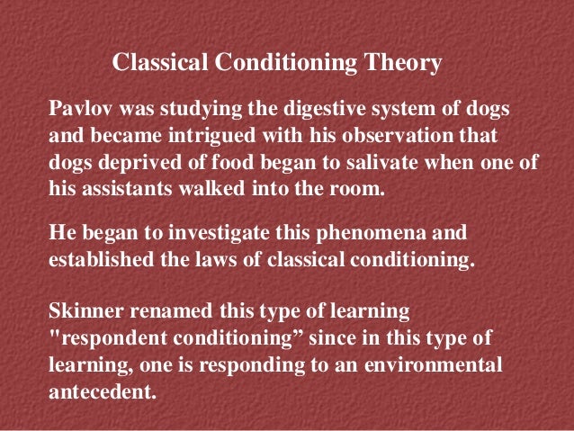 Behavioural Theory Behavioural Theory