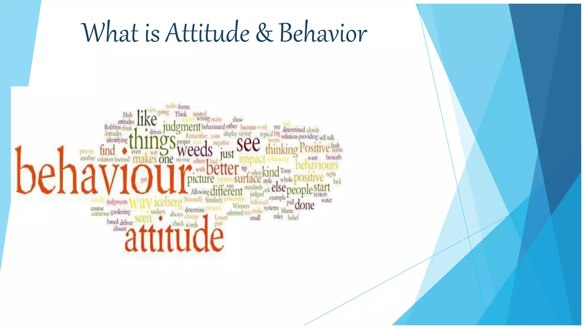 What is Attitude & Behavior
 