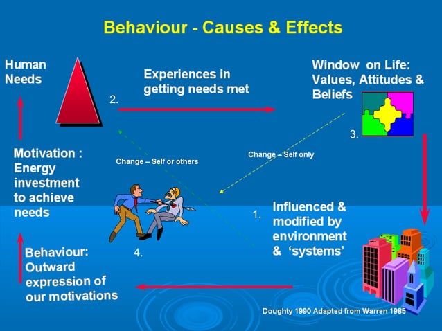 Behaviour cause & effect | PPT
