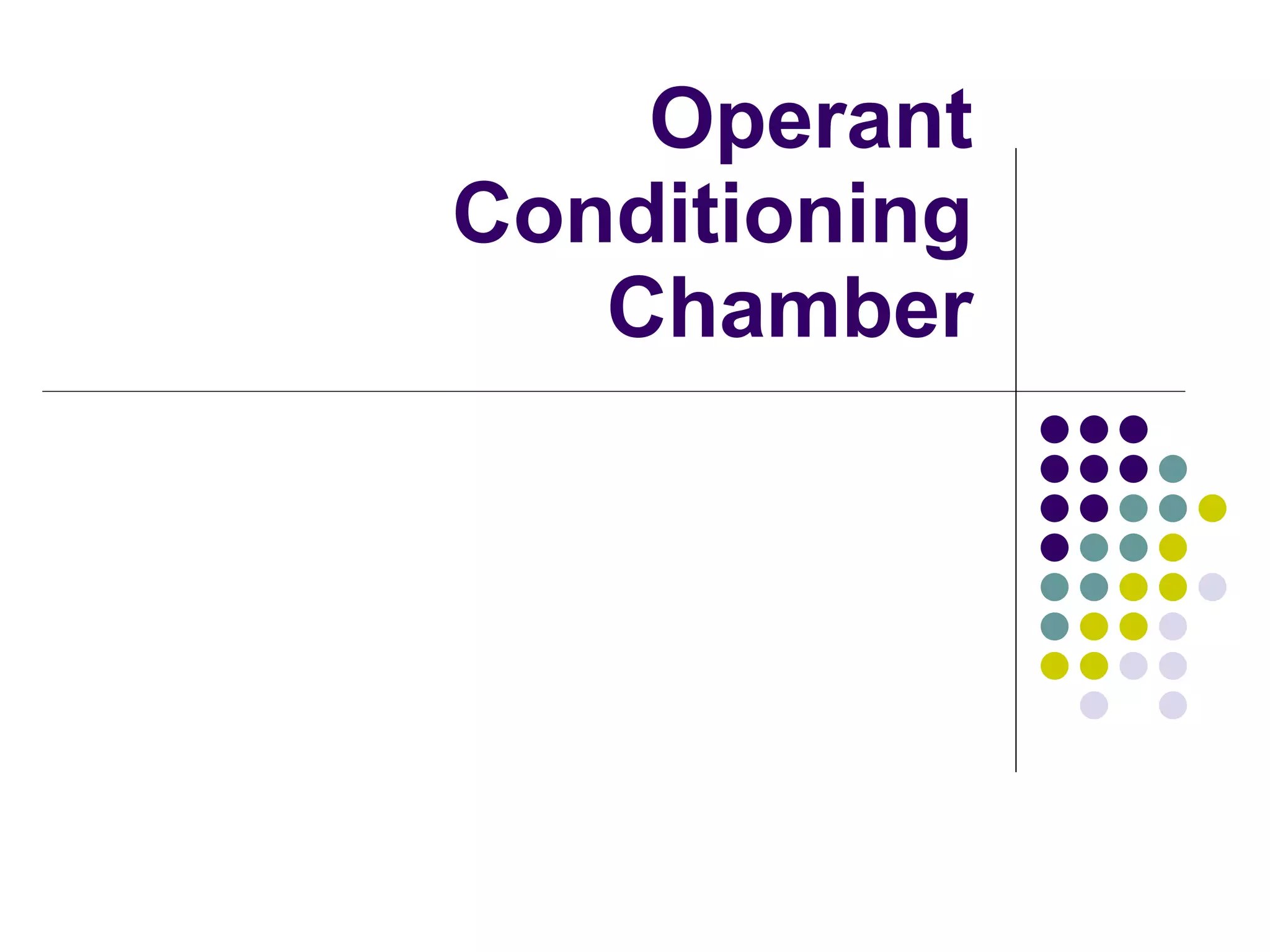 Operant Conditioning Chamber 