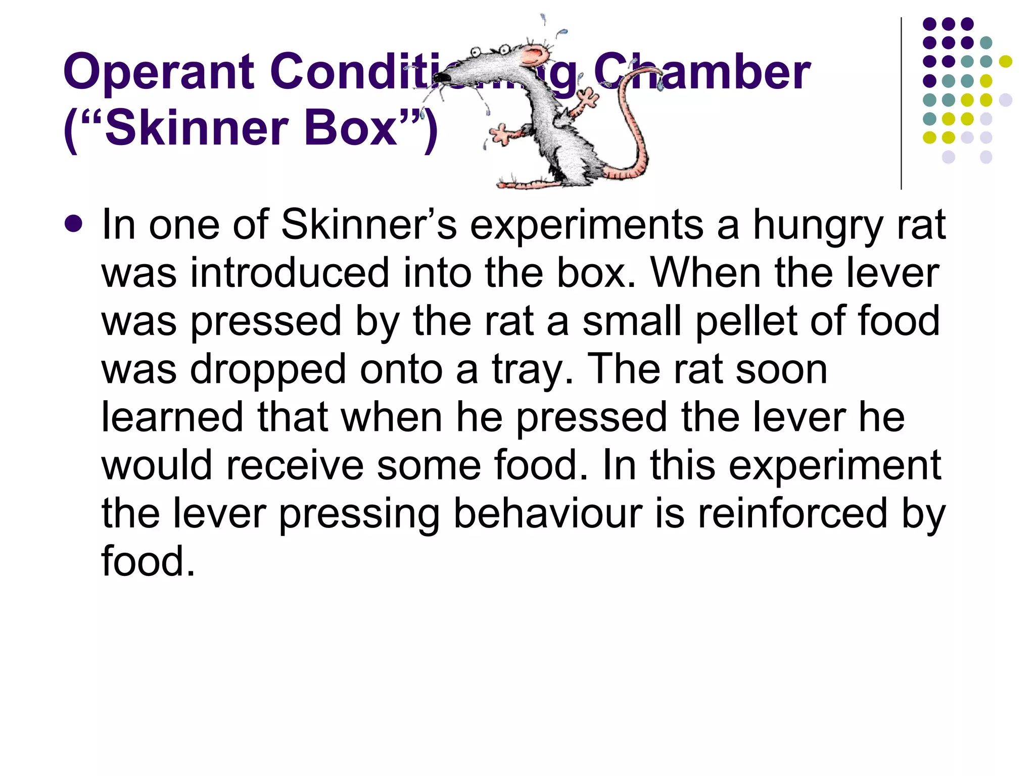 Operant Conditioning Chamber (“Skinner Box”) In one of Skinner’s experiments a hungry rat was introduced into the box. When the lever was pressed by the rat a small pellet of food was dropped onto a tray. The rat soon learned that when he pressed the lever he would receive some food. In this experiment the lever pressing behaviour is reinforced by food. 