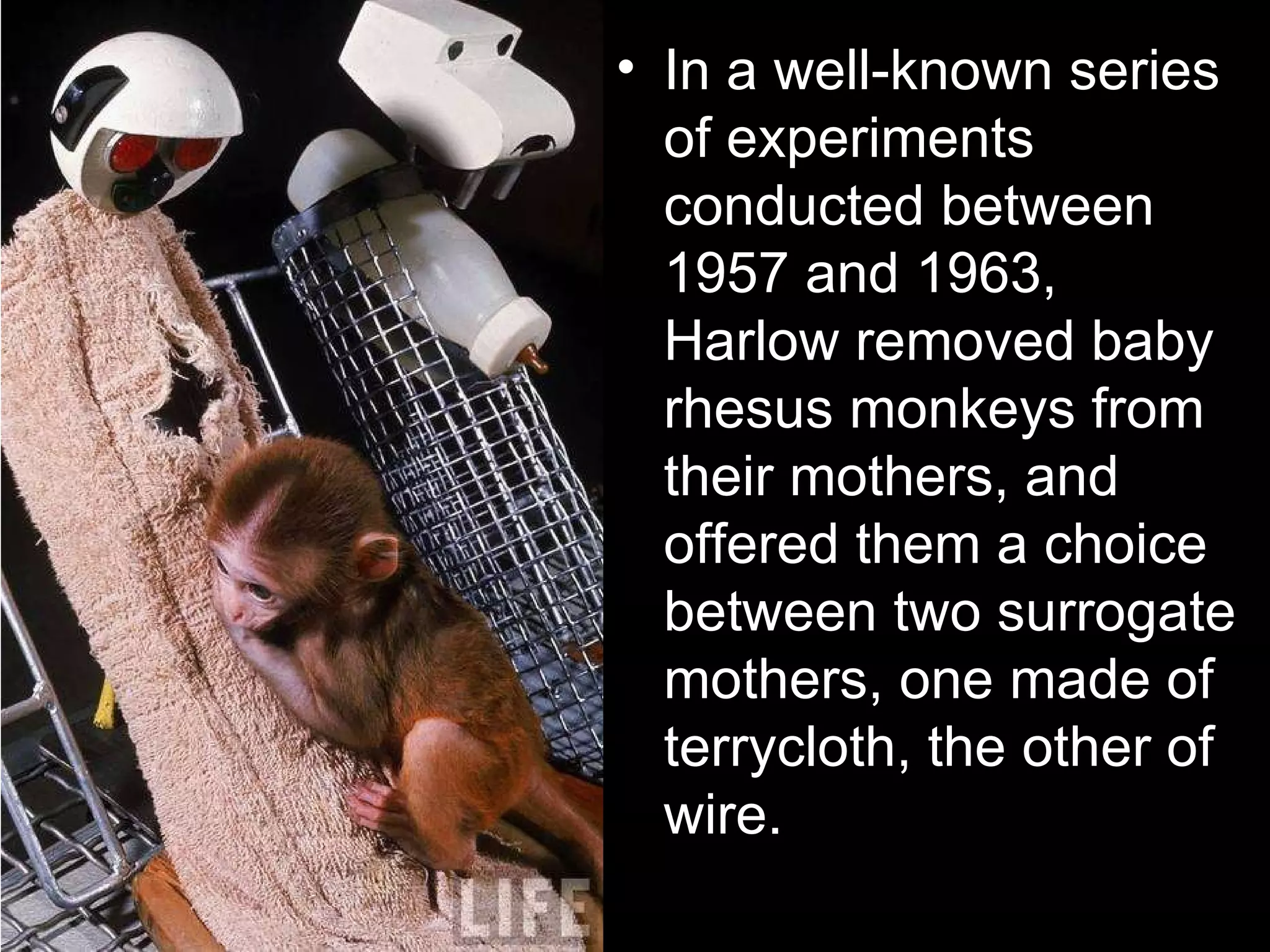 In a well-known series of experiments conducted between 1957 and 1963, Harlow removed baby rhesus monkeys from their mothers, and offered them a choice between two surrogate mothers, one made of terrycloth, the other of wire. 