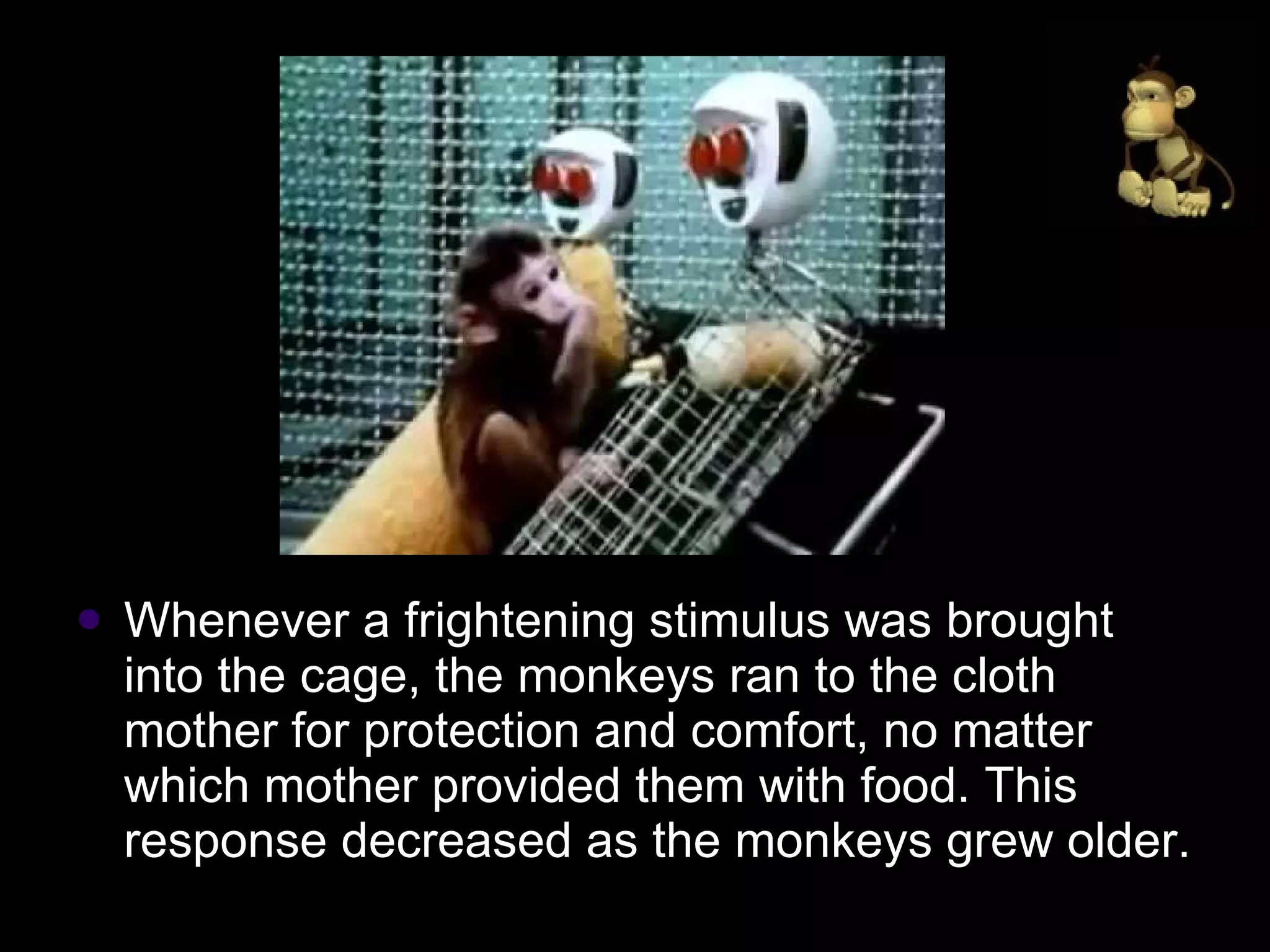 Whenever a frightening stimulus was brought into the cage, the monkeys ran to the cloth mother for protection and comfort, no matter which mother provided them with food. This response decreased as the monkeys grew older. 