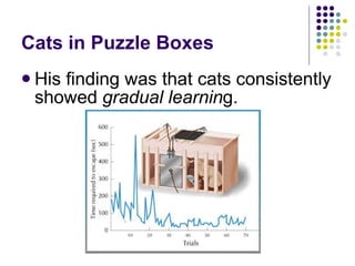 Cats in Puzzle Boxes His finding was that cats consistently showed  gradual learnin g. 