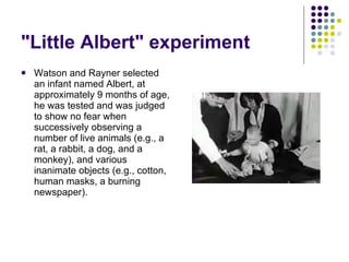 "Little Albert" experiment Watson and Rayner selected an infant named Albert, at approximately 9 months of age, he was tested and was judged to show no fear when successively observing a number of live animals (e.g., a rat, a rabbit, a dog, and a monkey), and various inanimate objects (e.g., cotton, human masks, a burning newspaper).  