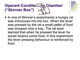 Operant Conditioning Chamber (“Skinner Box”) In one of Skinner’s experiments a hungry rat was introduced into the box. When the lever was pressed by the rat a small pellet of food was dropped onto a tray. The rat soon learned that when he pressed the lever he would receive some food. In this experiment the lever pressing behaviour is reinforced by food. 