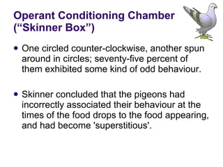 Operant Conditioning Chamber (“Skinner Box”) One circled counter-clockwise, another spun around in circles; seventy-five percent of them exhibited some kind of odd behaviour. Skinner concluded that the pigeons had incorrectly associated their behaviour at the times of the food drops to the food appearing, and had become 'superstitious'. 