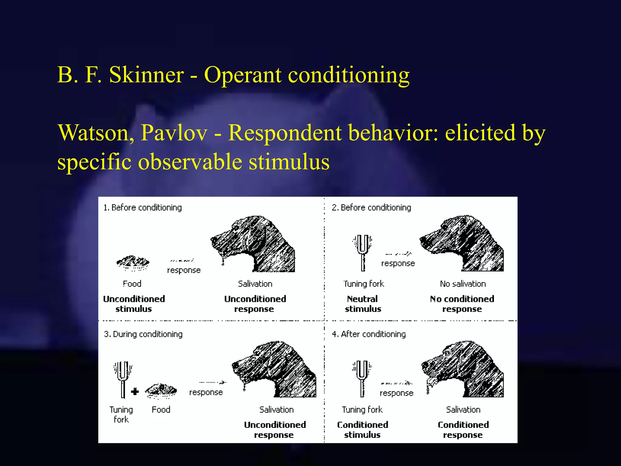 B. F. Skinner - Operant conditioning
Watson, Pavlov - Respondent behavior: elicited by
specific observable stimulus
 