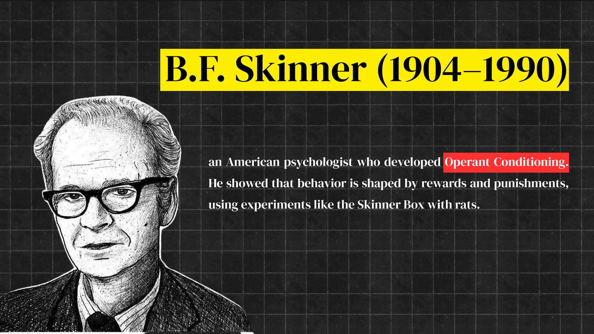 B.F. Skinner (1904–1990)
an American psychologist who developed Operant Conditioning.
He showed that behavior is shaped by rewards and punishments,
using experiments like the Skinner Box with rats.
 