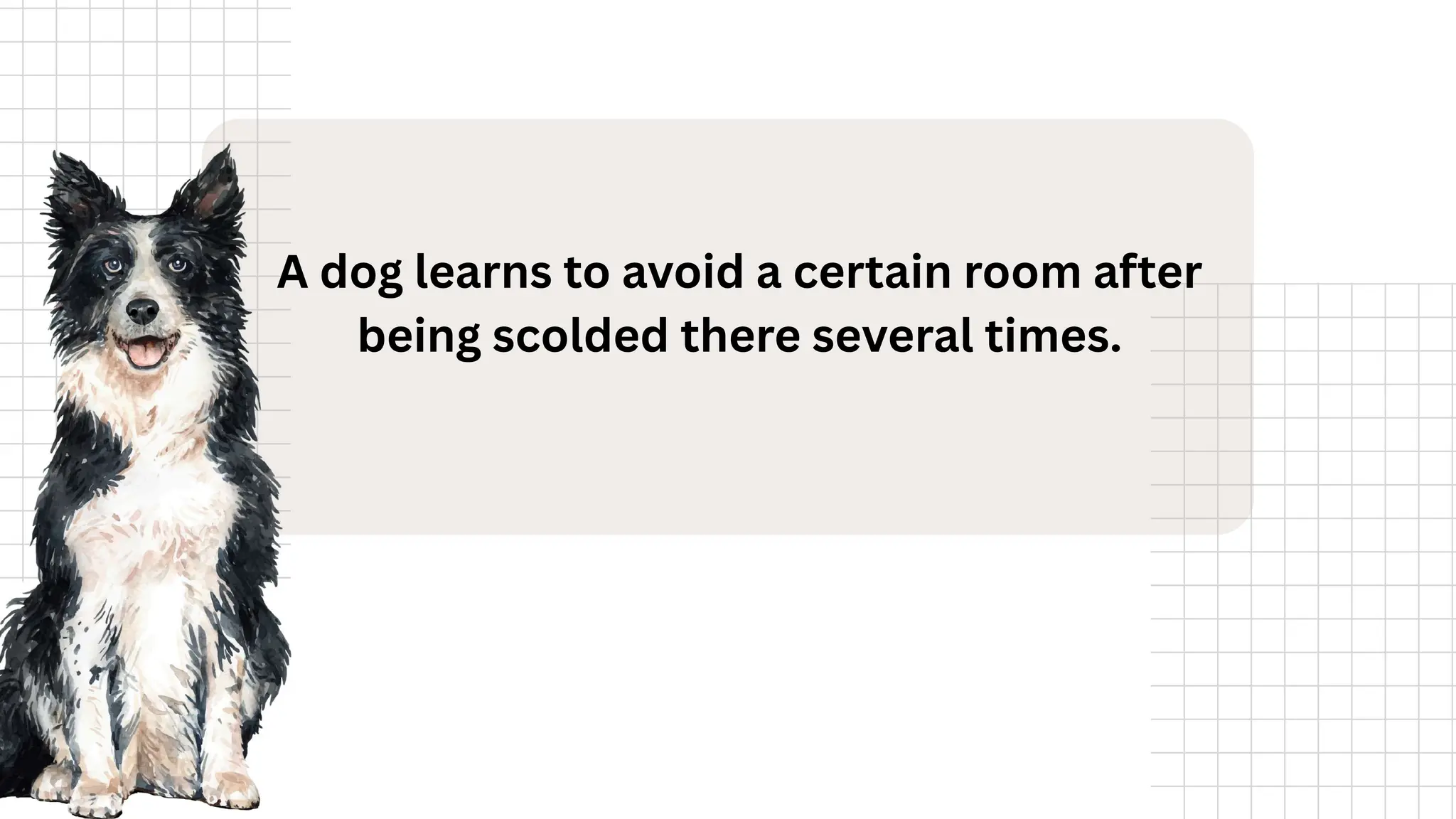 A dog learns to avoid a certain room after
being scolded there several times.
 