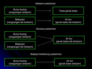 Bunyi loceng (rangsangan terlazim) Tiada gerak balas Sebelum pelaziman Makanan (rangsangan tak terlazim) Air liur (gerak balas tak terlazim) Semasa pelaziman Bunyi loceng (rangsangan terlazim) Air liur (gerak balas tak terlazim) Makanan (rangsangan tak terlazim) Selepas berlakunya pelaziman Bunyi loceng (rangsangan terlazim) Air liur (gerak balas terlazim) 