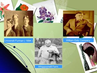 Universiti Furman ( 1894 )              Whippoorwill Farm  William Esty Company  