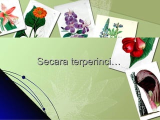 Secara terperinci… 