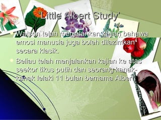 ‘Little Albert Study’  Watson telah menjalankan kajian bahawa emosi manusia juga boleh dilazimkan secara klasik. Beliau telah menjalankan kajian ke atas seekor tikus putih dan seorang kanak-kanak lelaki 11 bulan bernama Albert. 