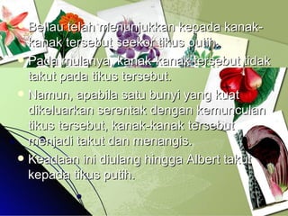 Beliau telah menunjukkan kepada kanak-kanak tersebut seekor tikus putih. Pada mulanya, kanak-kanak tersebut tidak takut pada tikus tersebut. Namun, apabila satu bunyi yang kuat dikeluarkan serentak dengan kemunculan tikus tersebut, kanak-kanak tersebut menjadi takut dan menangis. Keadaan ini diulang hingga Albert takut kepada tikus putih. 