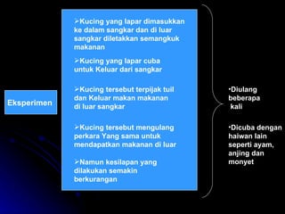 Eksperimen  Kucing yang lapar dimasukkan ke dalam sangkar dan di luar sangkar diletakkan semangkuk makanan Kucing yang lapar cuba untuk Keluar dari sangkar Kucing tersebut terpijak tuil dan Keluar makan makanan di luar sangkar Kucing tersebut mengulang perkara Yang sama untuk mendapatkan makanan di luar Namun kesilapan yang dilakukan semakin berkurangan Diulang beberapa kali  Dicuba dengan haiwan lain seperti ayam, anjing dan monyet 