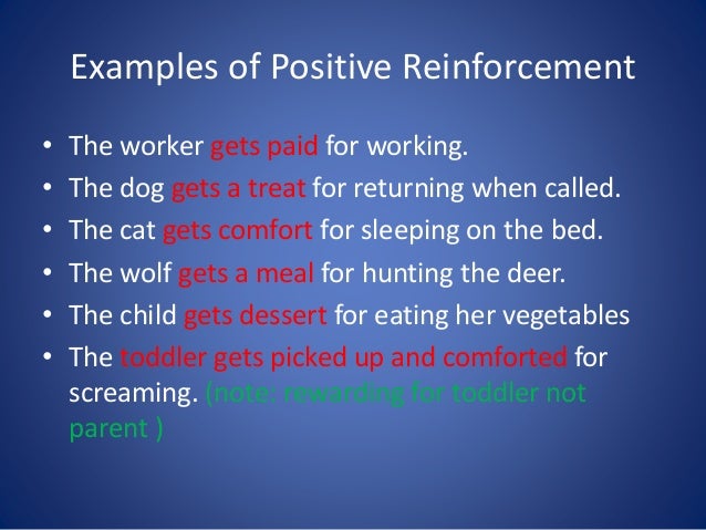 positive negative reinforcement examples positive negative reinforcement examples
