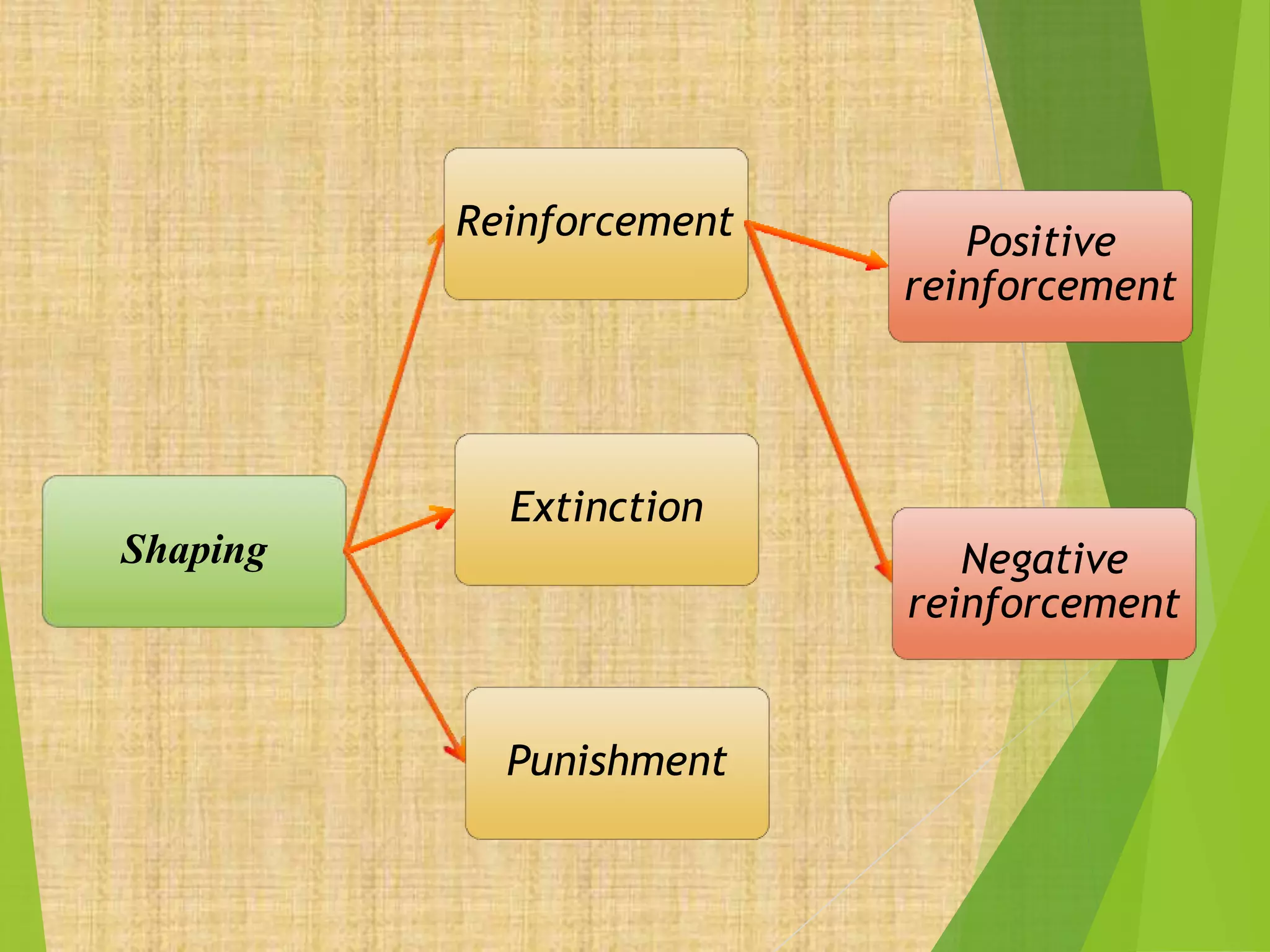 Shaping
Reinforcement Positive
reinforcement
Negative
reinforcement
Extinction
Punishment
 