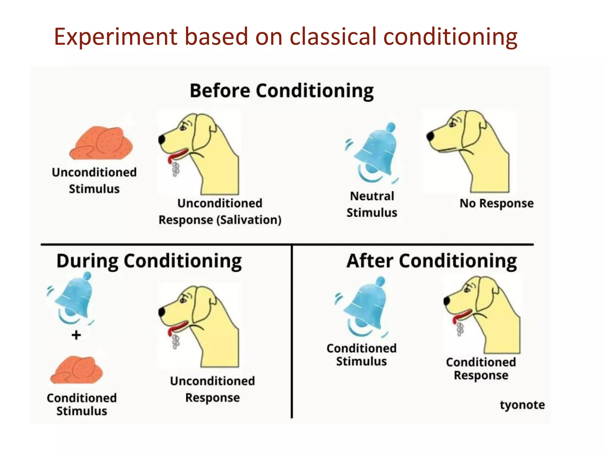 Experiment based on classical conditioning
 