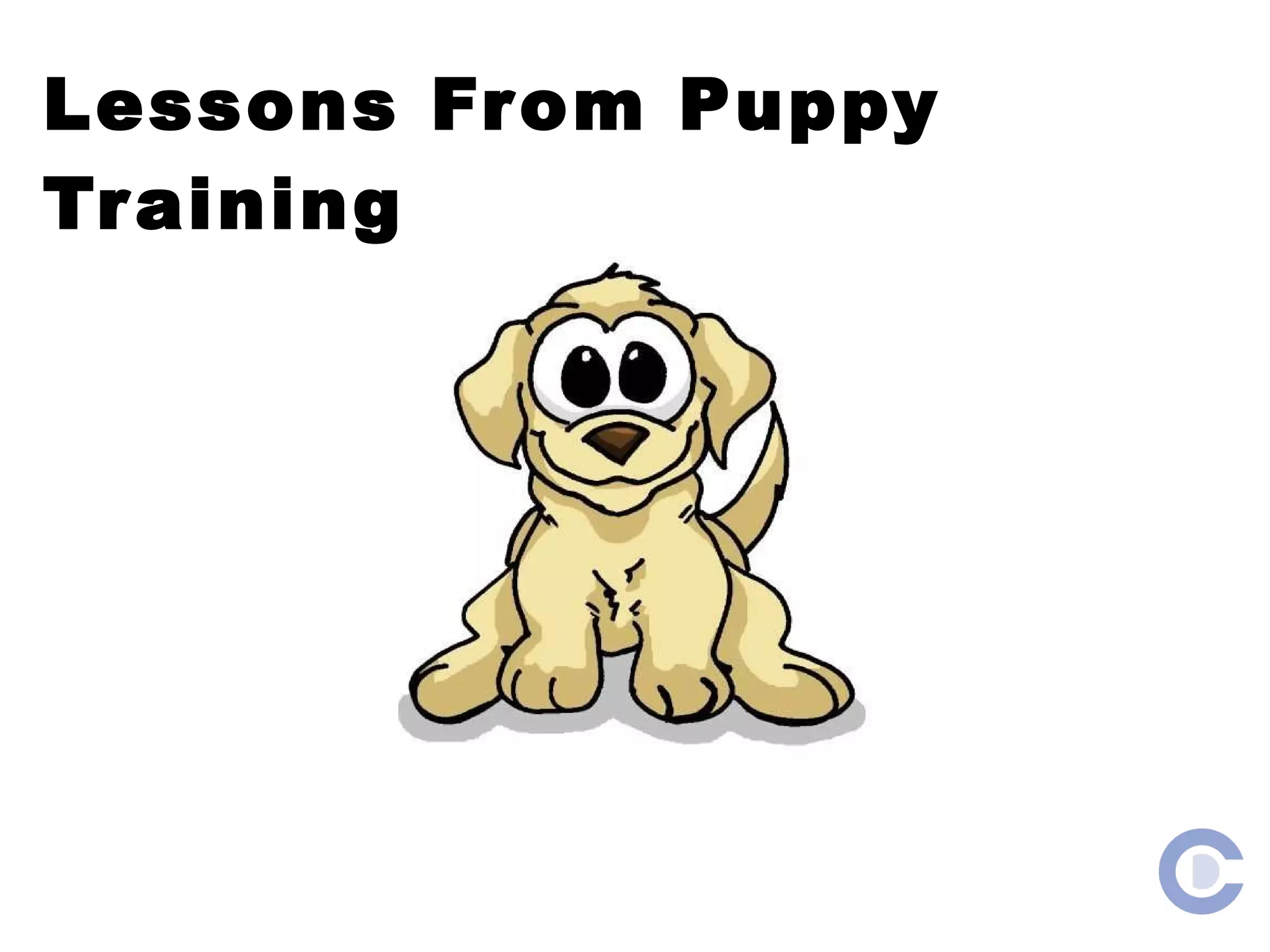 Lessons From Puppy Training