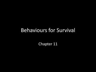 Behaviours for Survival Chapter 11 