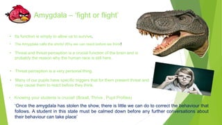 Amygdala – ‘fight or flight’ 
• Its function is simply to allow us to survive. 
• The Amygdala calls the shots! Why we can react before we think! 
• Threat and threat perception is a crucial function of the brain and is 
probably the reason why the human race is still here. 
• Threat perception is a very personal thing. 
• Many of our pupils have specific triggers that for them present threat and 
may cause them to react before they think. 
• Knowing your students is crucial! (Boxall, Thrive , Pupil Profiles) 
‘Once the amygdala has stolen the show, there is little we can do to correct the behaviour that 
follows. A student in this state must be calmed down before any further conversations about 
their behaviour can take place’ 
 