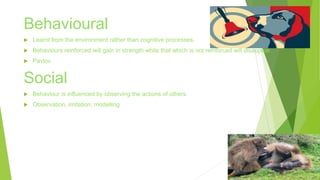 Behavioural 
 Learnt from the environment rather than cognitive processes. 
 Behaviours reinforced will gain in strength while that which is not reinforced will disappear. 
 Pavlov 
Social 
 Behaviour is influenced by observing the actions of others 
 Observation, imitation, modelling 
 