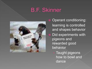 B.F. SkinnerOperant conditioning:   learning is controlled and shapes behaviorDid experiments with pigeons and rewarded good behaviorTaught pigeons how to bowl and dance