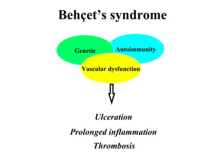 Behcet | PPT