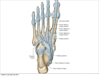martes 12 de abril de 2011
 