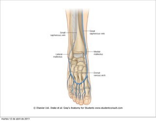 martes 12 de abril de 2011
 