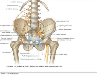 martes 12 de abril de 2011
 