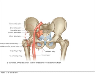 martes 12 de abril de 2011
 