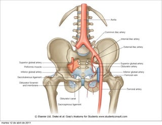 martes 12 de abril de 2011
 