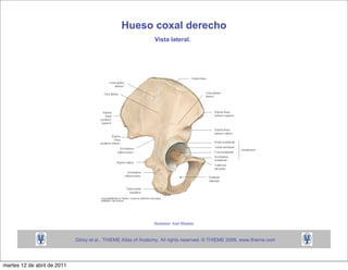 martes 12 de abril de 2011
 
