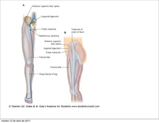 martes 12 de abril de 2011
 