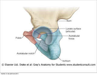 martes 12 de abril de 2011
 
