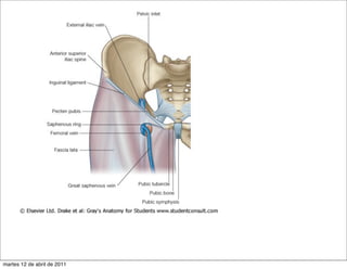 martes 12 de abril de 2011
 