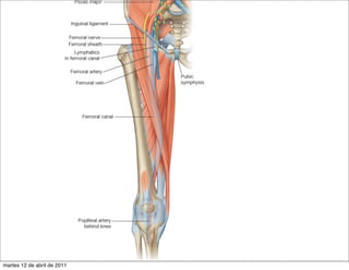 martes 12 de abril de 2011
 